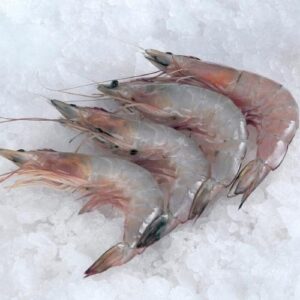 Fresh Prawn